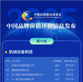 喜訊|威勝集團(tuán)榮登2025中國品牌價(jià)值評(píng)價(jià)信息榜！